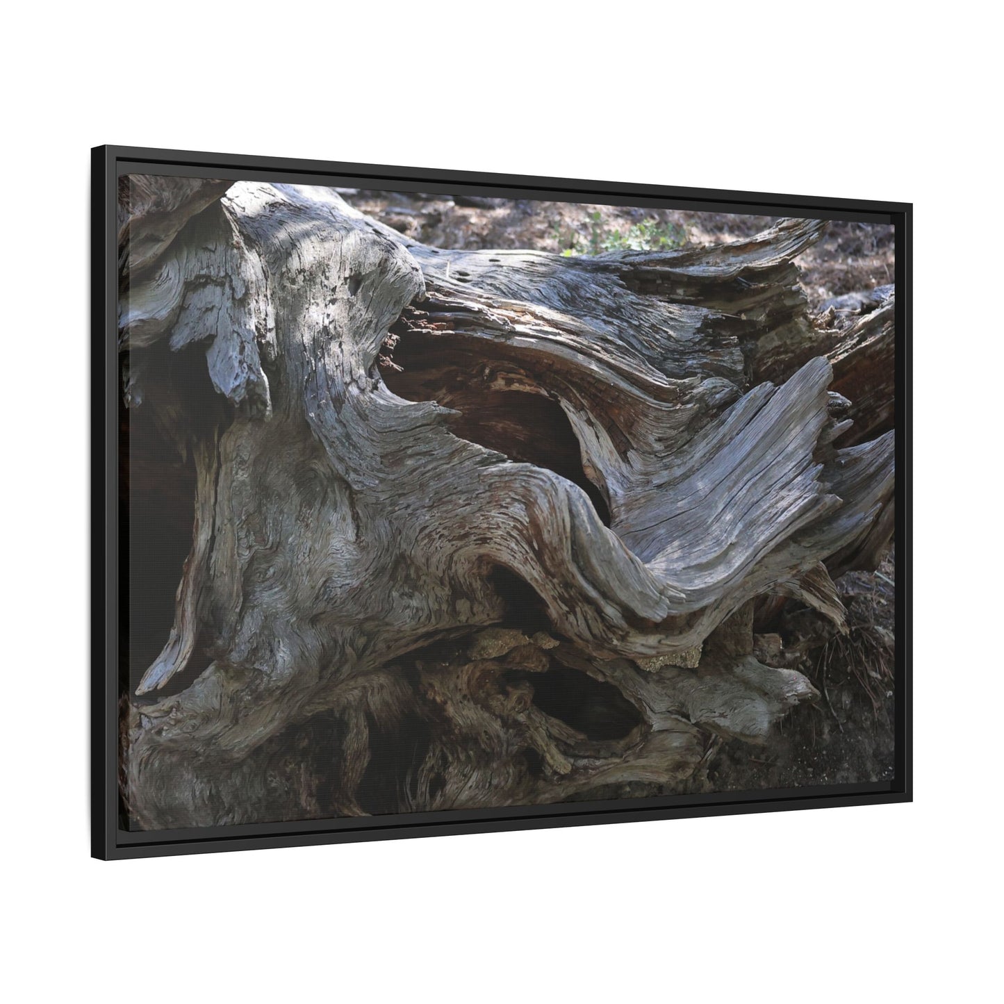 Twisted Memories - Unique Stretched Canvas Wall Art