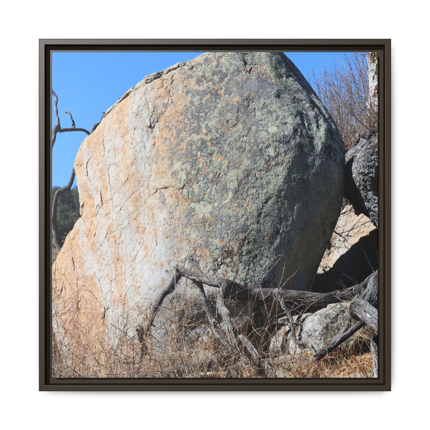 Stony Sentinel - Unique Stretched Canvas Wall Art - Art By Earth