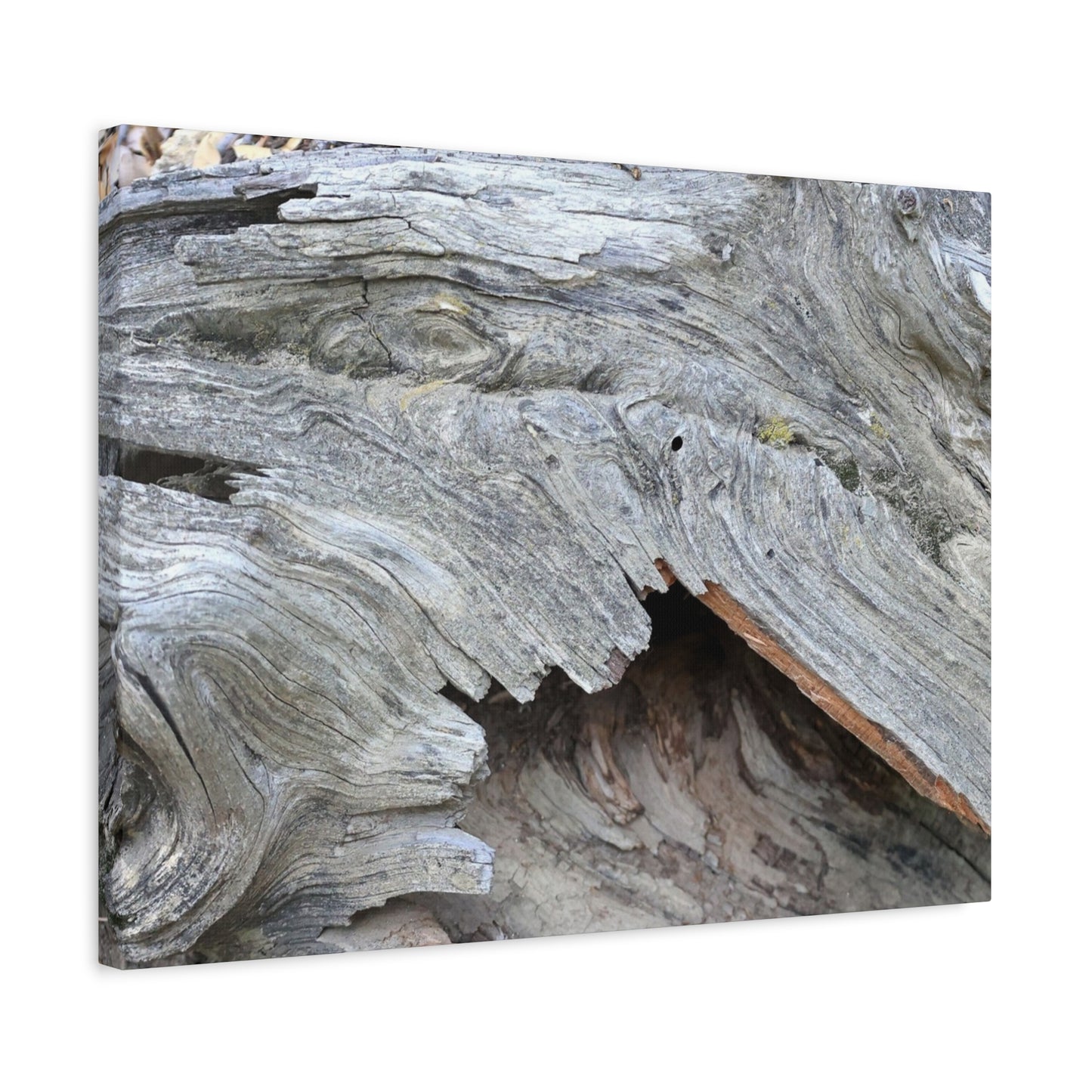 Whispers of Ancient Wood - Unique Frameless Canvas Wall Art