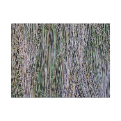 Whispers of Grass - Unique Frameless Canvas Wall Art