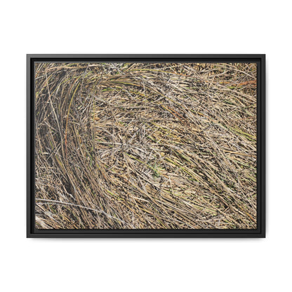 Tangled Grass Symphony - Unique Stretched Canvas Wall Art - Art By Earth