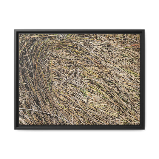Tangled Grass Symphony - Unique Stretched Canvas Wall Art - Art By Earth
