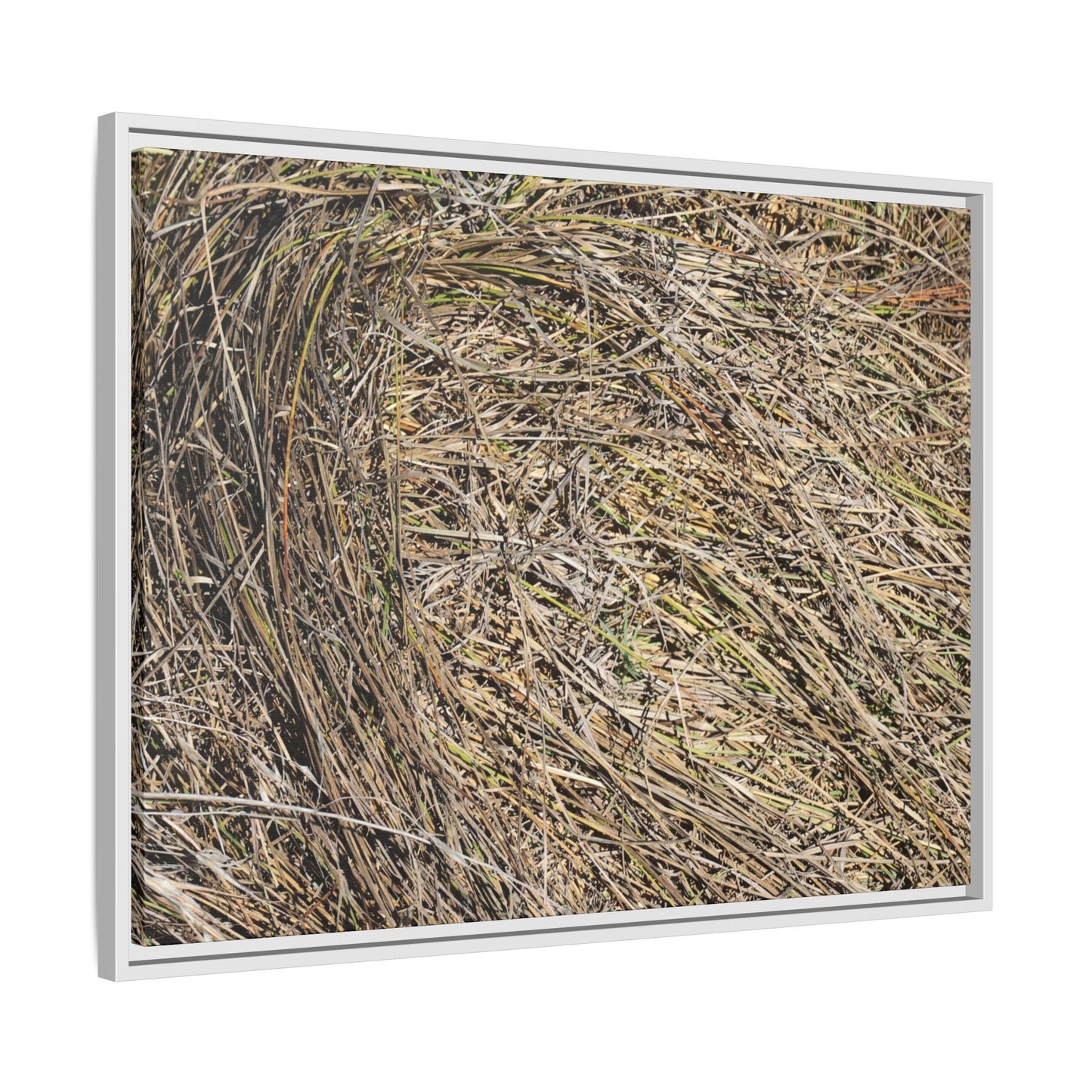 Tangled Grass Symphony - Unique Stretched Canvas Wall Art - Art By Earth