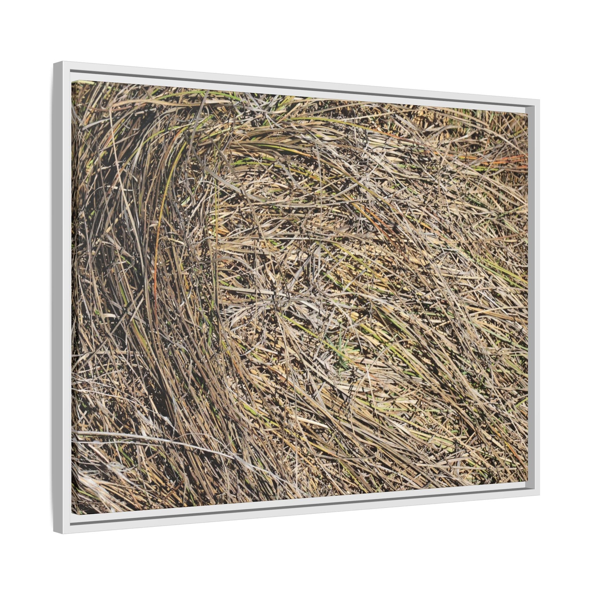 Tangled Grass Symphony - Unique Stretched Canvas Wall Art - Art By Earth