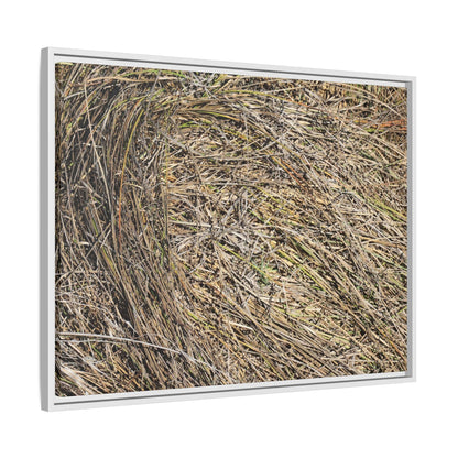 Tangled Grass Symphony - Unique Stretched Canvas Wall Art - Art By Earth