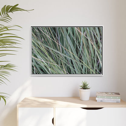Grassland Symphony - Unique Stretched Canvas Wall Art