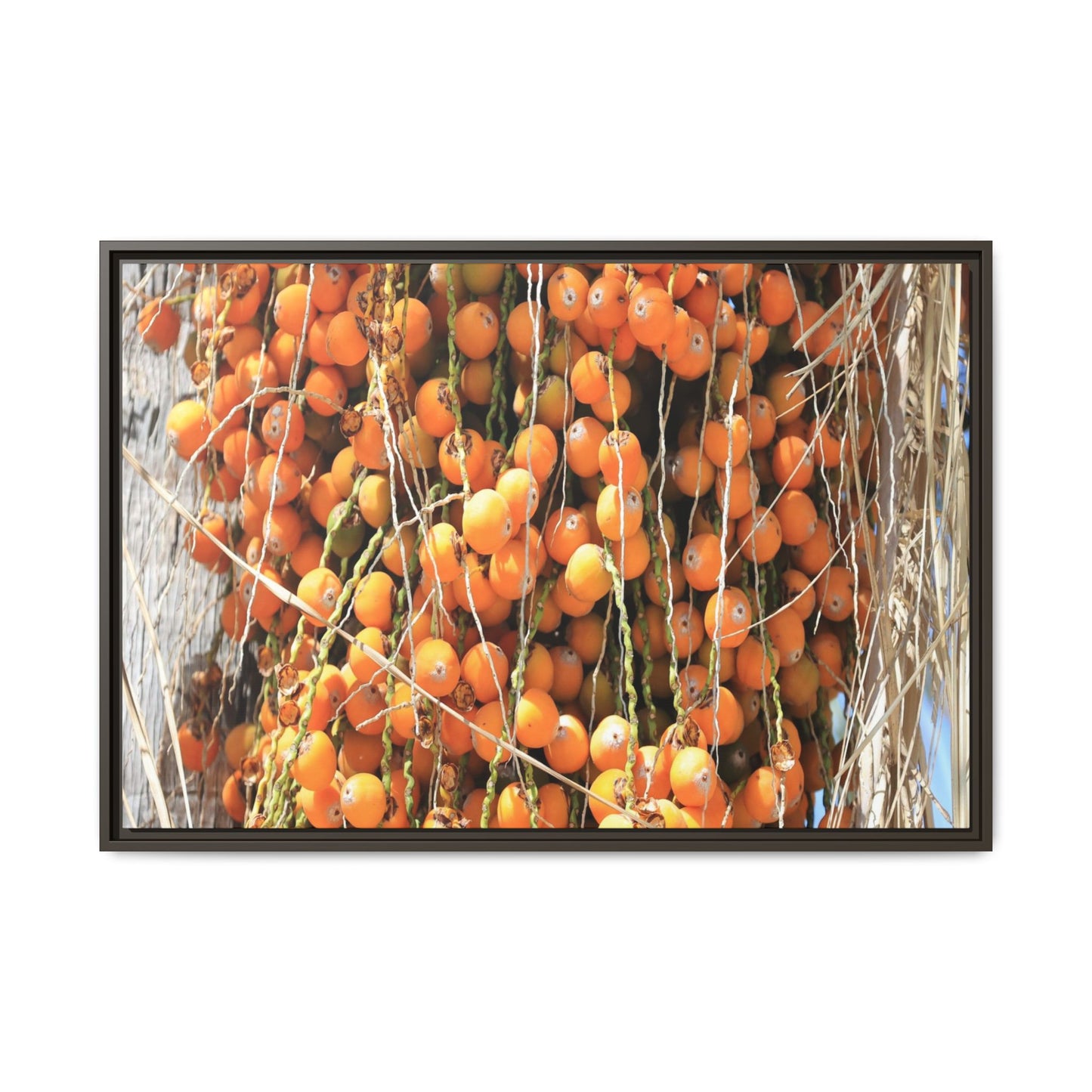Clusters of Sunlight - Unique Canvas Wall Art