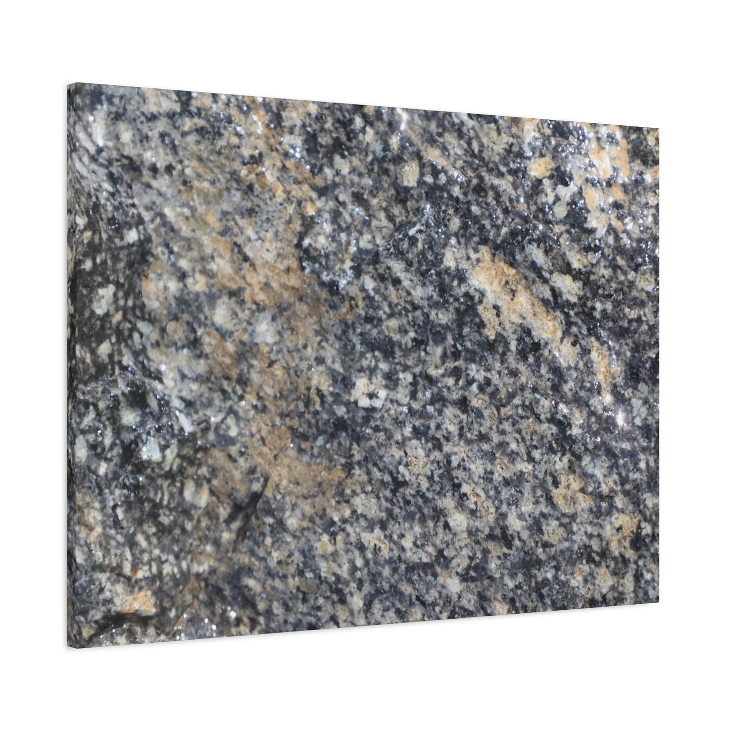 Metamorphic Memory - Unique Frameless Canvas Wall Art