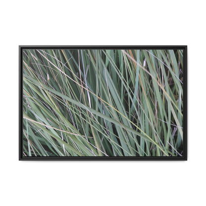 Grassland Symphony - Unique Stretched Canvas Wall Art