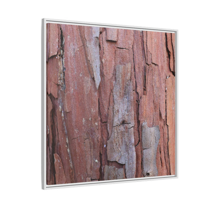 Peeling Bark - Unique Stretched Canvas Wall Art