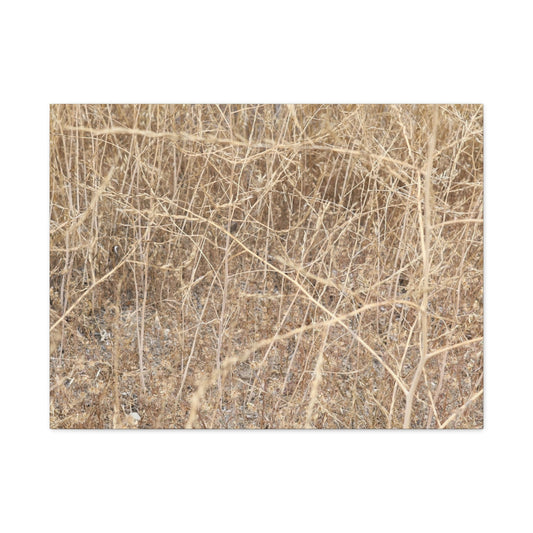 Dry Echoes - Unique Frameless Canvas Wall Art