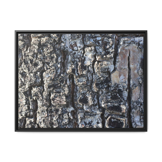 The Bark Chronicles - Unique Stretched Canvas Wall Art