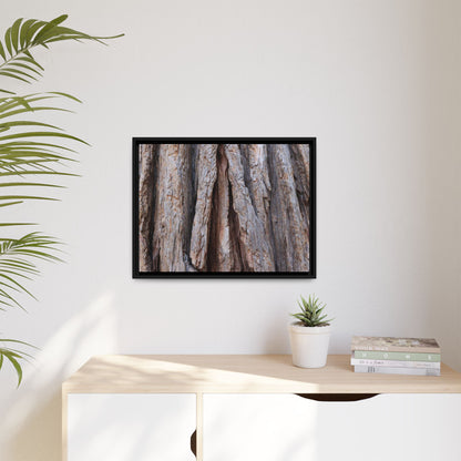 Nature's Sculpture - Unique Stretched Canvas Wall Art