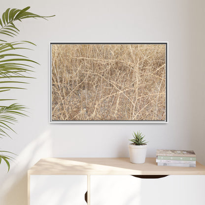 Golden Stalks - Unique Stretched Canvas Wall Art