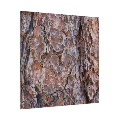 Rugged Bark Landscape - Unique Frameless Canvas Wall Art