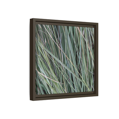 Grassland Symphony - Unique Stretched Canvas Wall Art