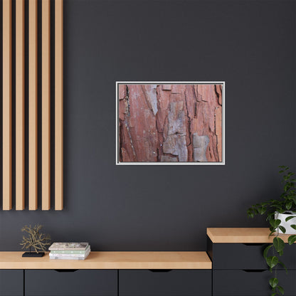 Peeling Bark - Unique Stretched Canvas Wall Art