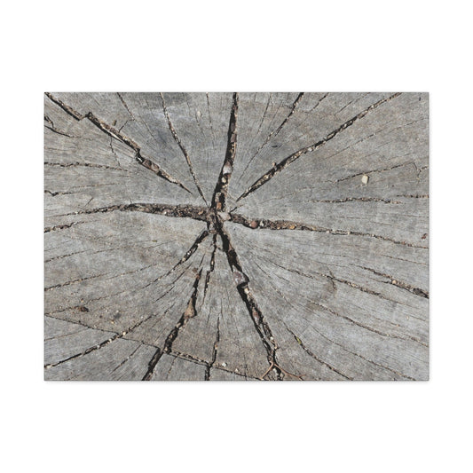 Cracked Chronicle - Unique Frameless Canvas Wall Art