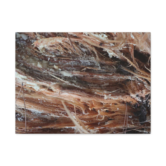 Decaying Whispers - Unique Frameless Canvas Wall Art