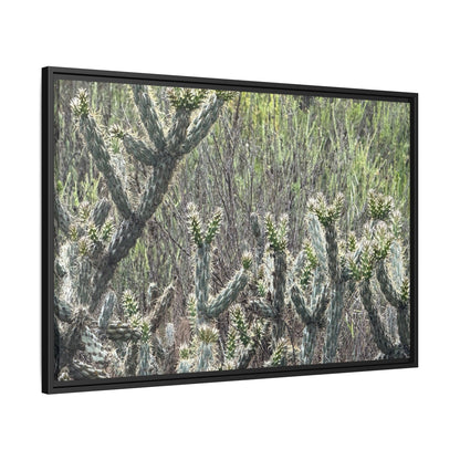 Prickly Paradise - Unique Stretched Canvas Wall Art