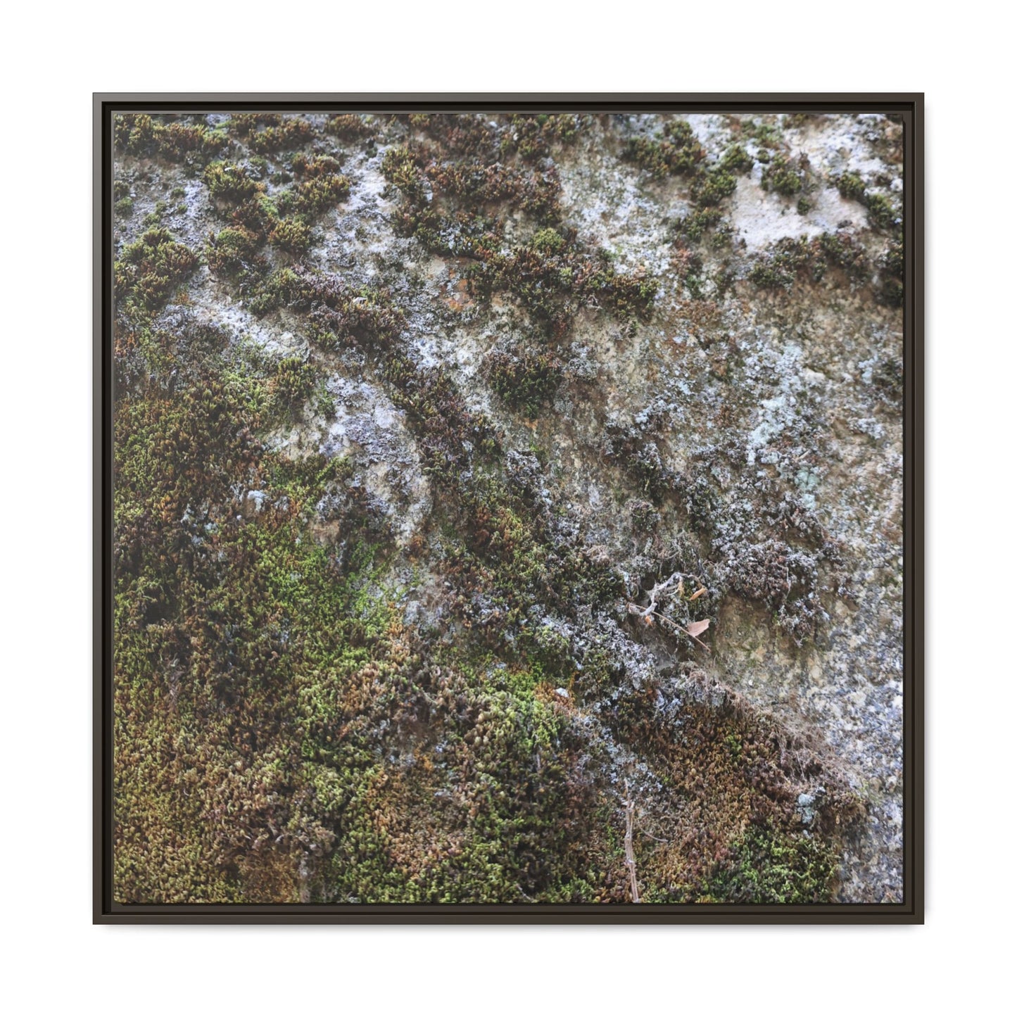 Mossy Whispers - Unique Stretched Canvas Wall Art