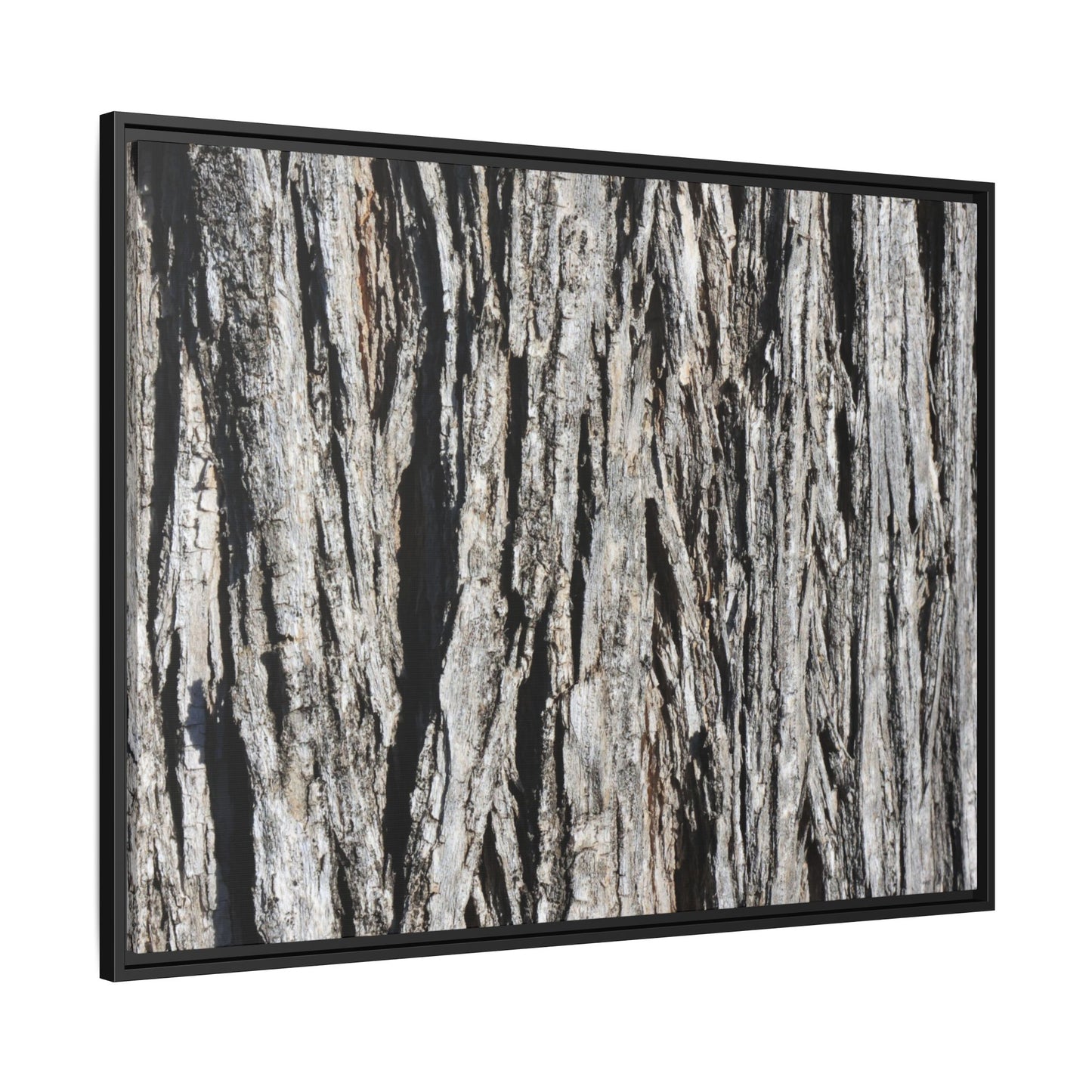 Nature's Abstract - Unique Stretched Canvas Wall Art