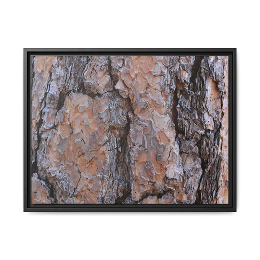 Tree Skin Symphony - Unique Stretched Canvas Wall Art