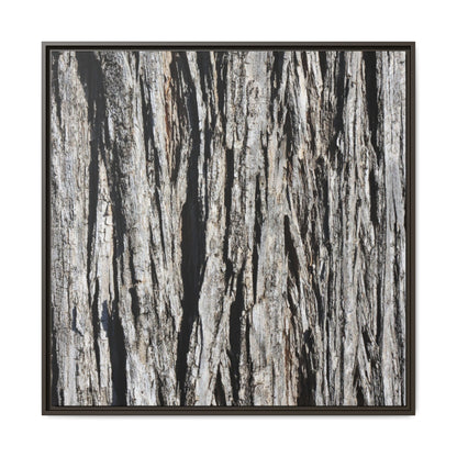 Bark Lines - Unique Stretched Canvas Wall Art