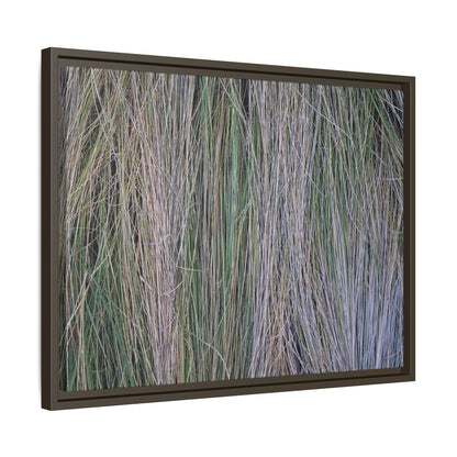 Whispers of Silver Grass - Unique Stretched Canvas Wall Art