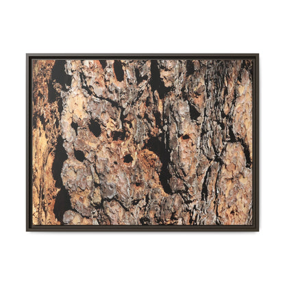 Rugged Rhythms - Unique Stretched Canvas Wall Art