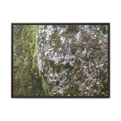 Lichen Landscape - Unique Stretched Canvas Wall Art