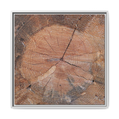 Concentric Memories - Unique Stretched Canvas Wall Art