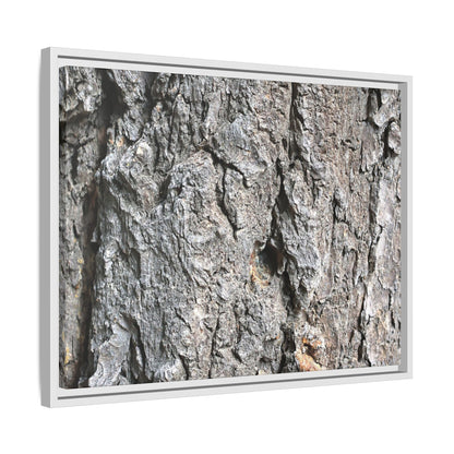 Crusty Exterior - Unique Stretched Canvas Wall Art