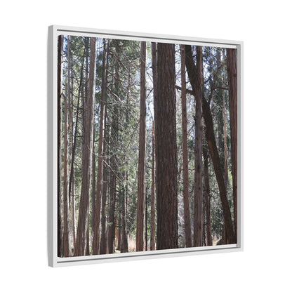 Forest Cathedral - Unique Stretched Canvas Wall Art