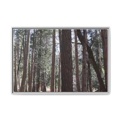 Forest Cathedral - Unique Stretched Canvas Wall Art