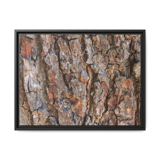 Tree's Timeworn Tale - Unique Stretched Canvas Wall Art