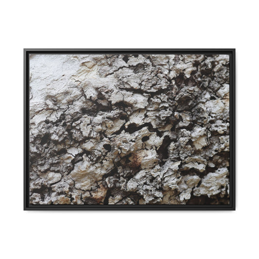 Cracked Terrain - Unique Stretched Canvas Wall Art