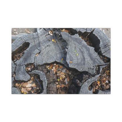 Weathered Woodland Whispers - Unique Frameless Canvas Wall Art