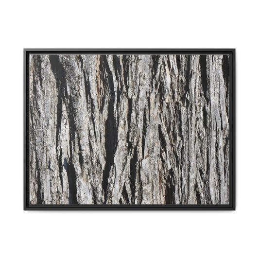 Bark Lines - Unique Poster Wall Art