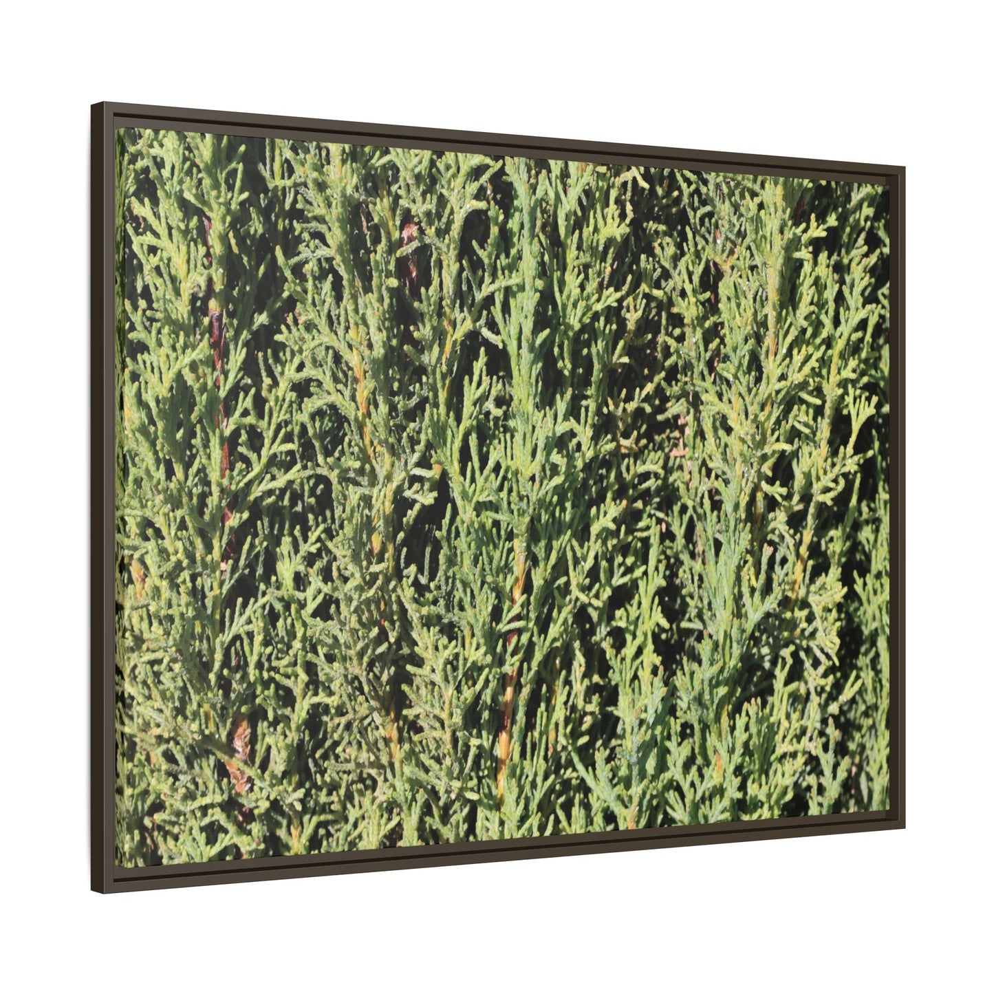 Emerald Labyrinth - Unique Stretched Canvas Wall Art - Art By Earth