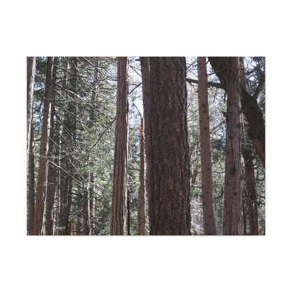 Vertical Sentinels - Unique Frameless Canvas Wall Art