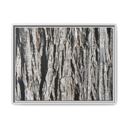 Nature's Abstract - Unique Stretched Canvas Wall Art