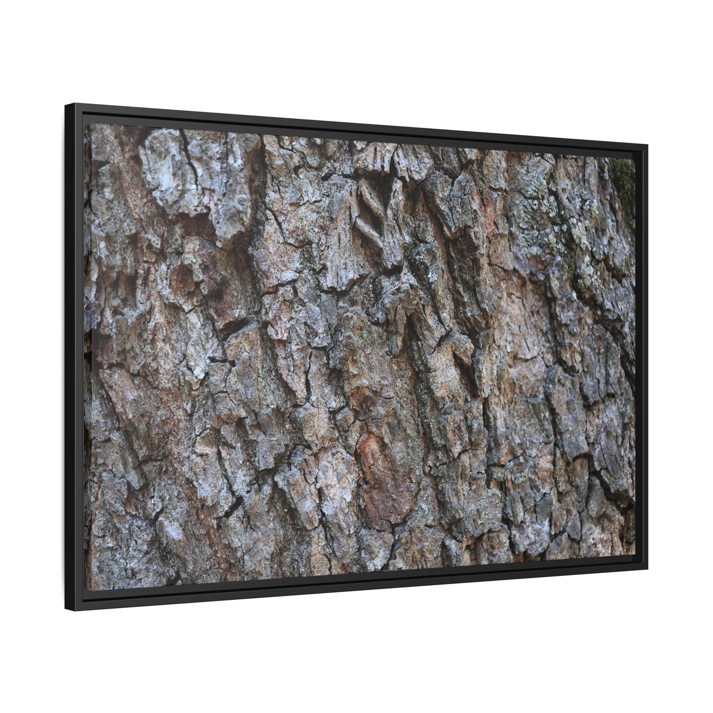 Woodland Skin - Unique Stretched Canvas Wall Art