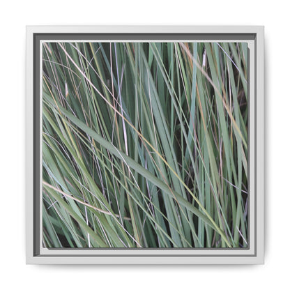 Grassland Symphony - Unique Stretched Canvas Wall Art