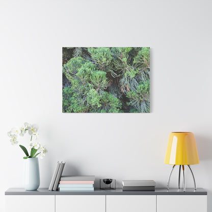 Green Labyrinth - Unique Frameless Canvas Wall Art
