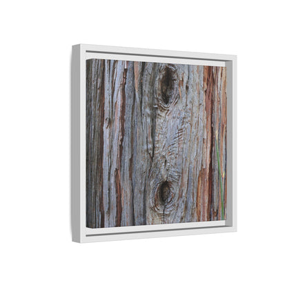 Knotty Nature - Unique Stretched Canvas Wall Art