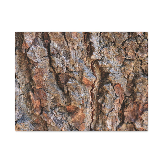 Roots of Time - Unique Frameless Canvas Wall Art