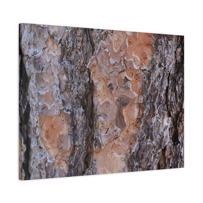 Terracotta Textures - Unique Frameless Canvas Wall Art