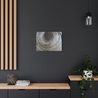Bark's Eye - Unique Frameless Canvas Wall Art