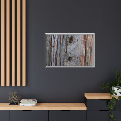 Knotty Nature - Unique Stretched Canvas Wall Art